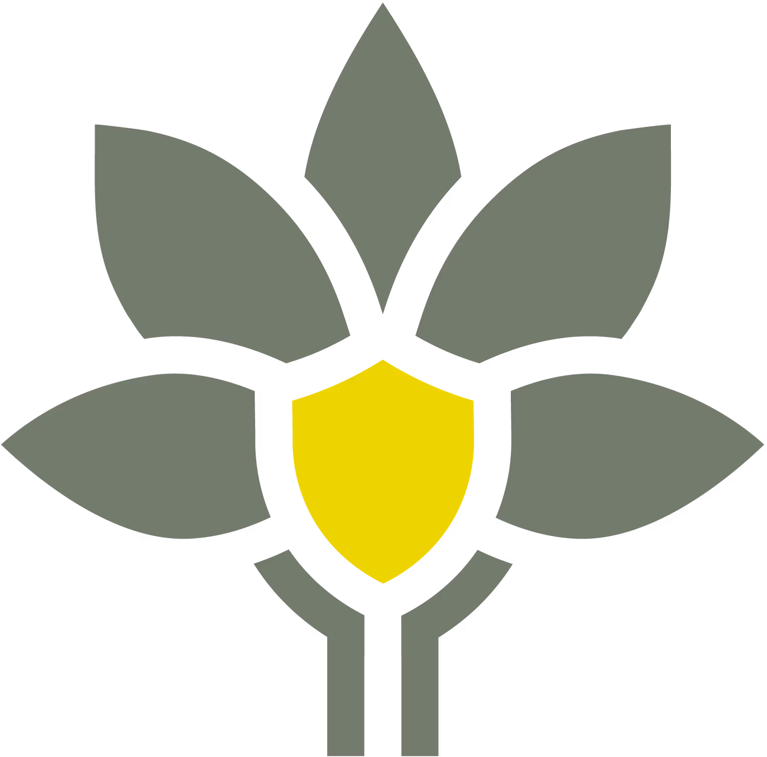 AG_Icon