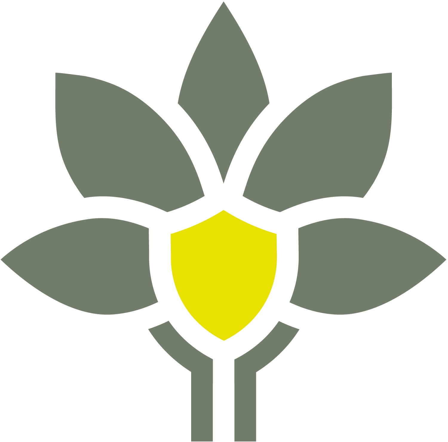 AG_Icon