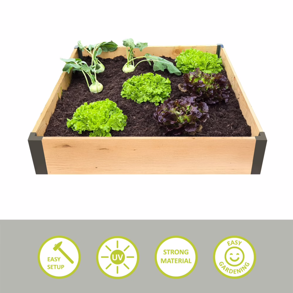 Garden Bed Edging Wood edging 100x100cm