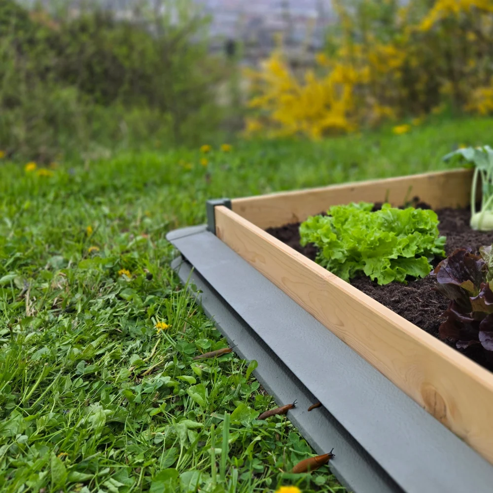 Schneckenzaun Garten 50cm gerade – Bild 5