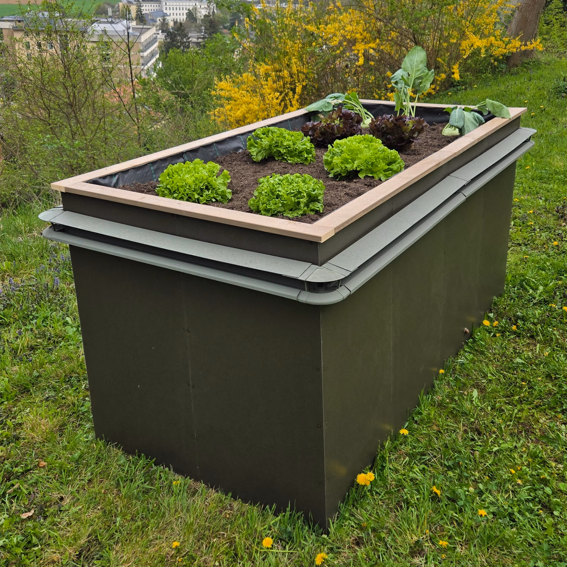 Schneckenzaun Hochbeet Einfassung 150x150cm – Bild 5